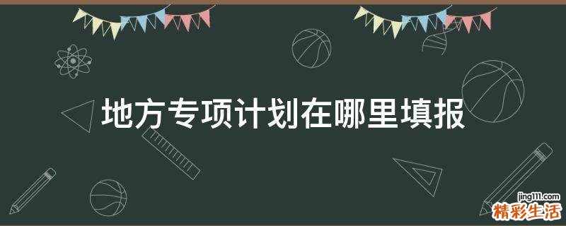 地方专项计划在哪里填报