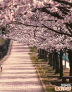 怎么判断孩子是否过敏_判断孩子过敏方法