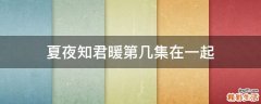 夏夜知君暖第几集在一起