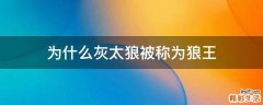 为什么灰太狼被称为狼王