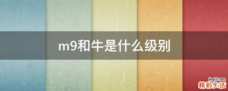 m9和牛是什么级别