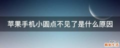 苹果手机小圆点不见了是什么原因