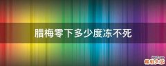 腊梅零下多少度冻不死