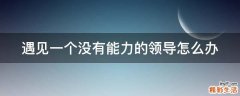 遇见一个没有能力的领导怎么办