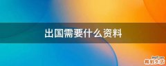 出国需要什么资料