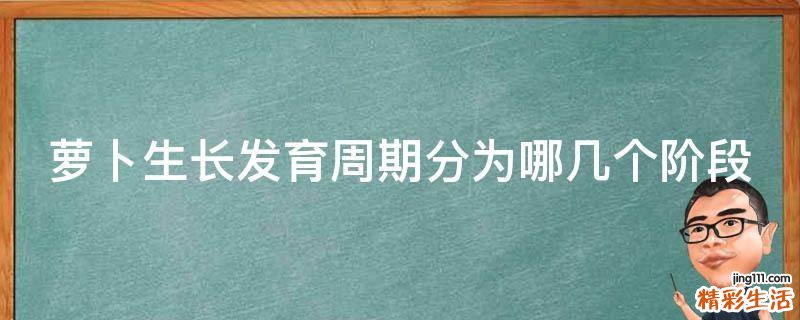 萝卜生长发育周期分为哪几个阶段
