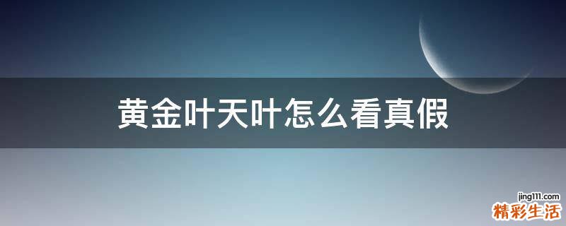 黄金叶天叶怎么看真假