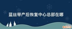 蓝丝带产后恢复中心总部在哪