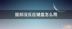 鼠标没反应键盘怎么用