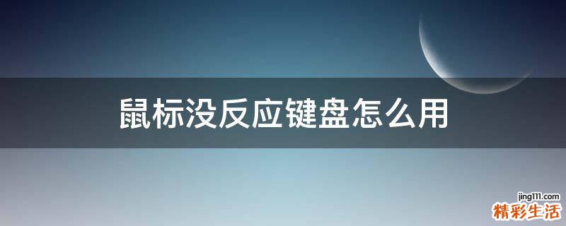 鼠标没反应键盘怎么用