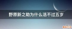 野原新之助为什么活不过五岁