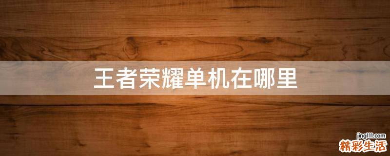 王者荣耀单机在哪里