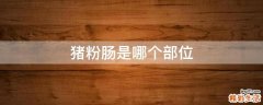 猪粉肠是哪个部位