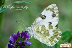 怎么样治疗肛裂好