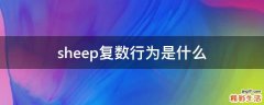 sheep复数行为是什么