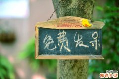 冬天吃什么早餐