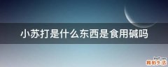 小苏打是什么东西是食用碱吗