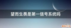 望而生畏是第一信号系统吗