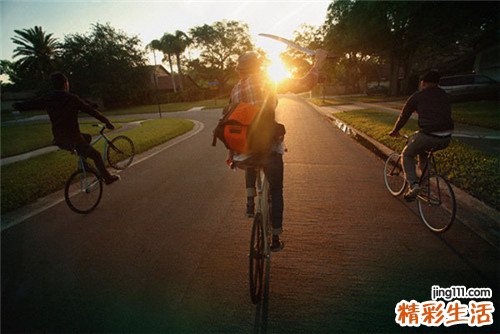 鸡骨常山
