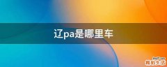 辽pa是哪里车