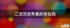 二次元世界真的存在吗