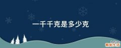 一千千克是多少克