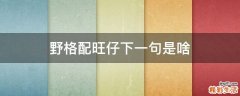 野格配旺仔下一句是啥