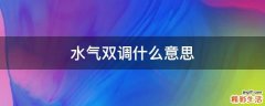 水气双调什么意思