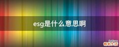 esg是什么意思啊