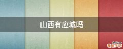 山西有应城吗
