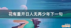 花有重开日人无再少年下一句