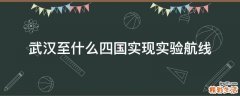 武汉至什么四国实现实验航线