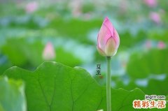 夏至时节来临，养生要注意这些