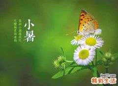 小暑养生：小暑养生要过六关吃三宝