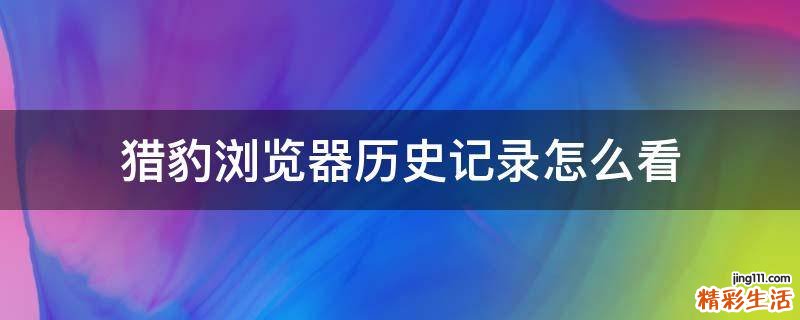 猎豹浏览器历史记录怎么看