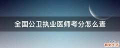全国公卫执业医师考分怎么查