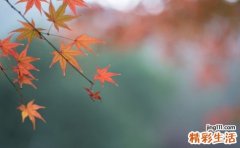 出伏天做好这两件事 健康过秋天