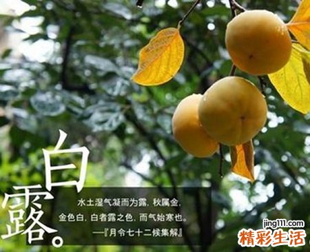 白露养生要从何做起？