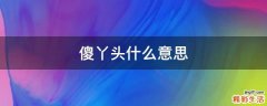 傻丫头什么意思