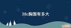 38c胸围有多大