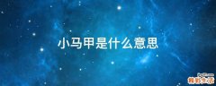 小马甲是什么意思