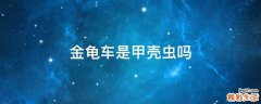 金龟车是甲壳虫吗
