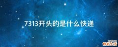 7313开头的是什么快递