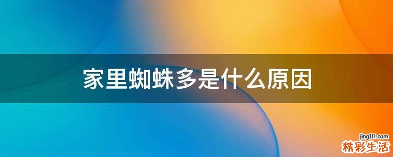 家里蜘蛛多是什么原因
