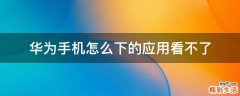 华为手机怎么下的应用看不了
