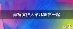 肖楠罗伊人第几集在一起