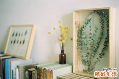 女性上公厕的9个卫生小贴士 最靠内的厕位最脏！