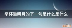 举杯邀明月的下一句是什么是什么
