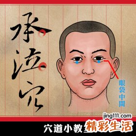 【图解】拯救熊猫眼的承泣穴