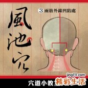 【图解】忙到头昏脑胀？风池穴来舒缓